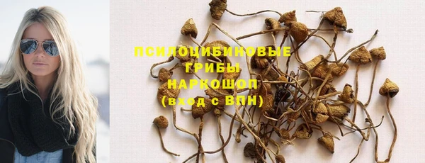 мескалин Армянск