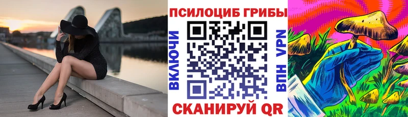 Купить закладки  Наро-Фоминск  Псилоцибиновые грибы Magic Shrooms 